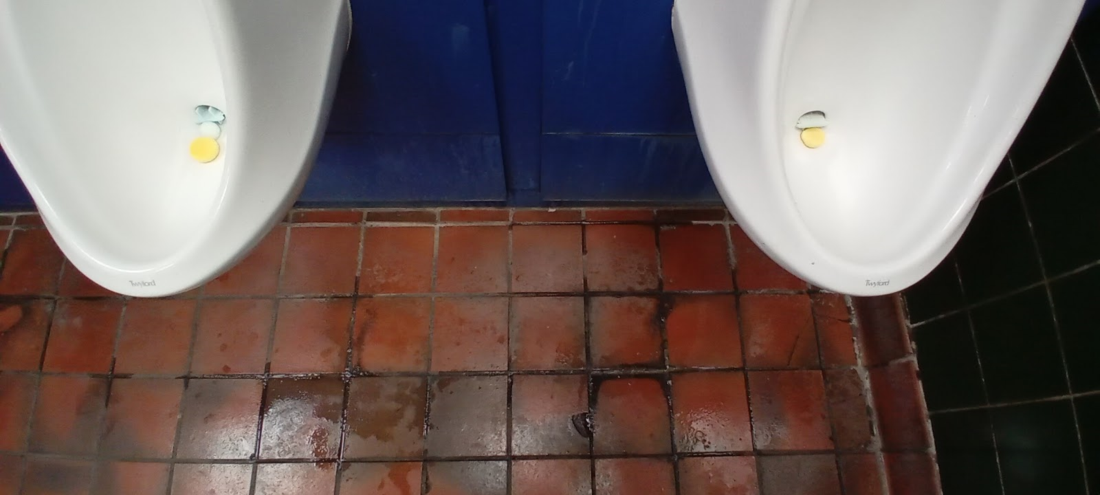 The Public Toilets on Hassell Street, Newcastle-under-Lyme
